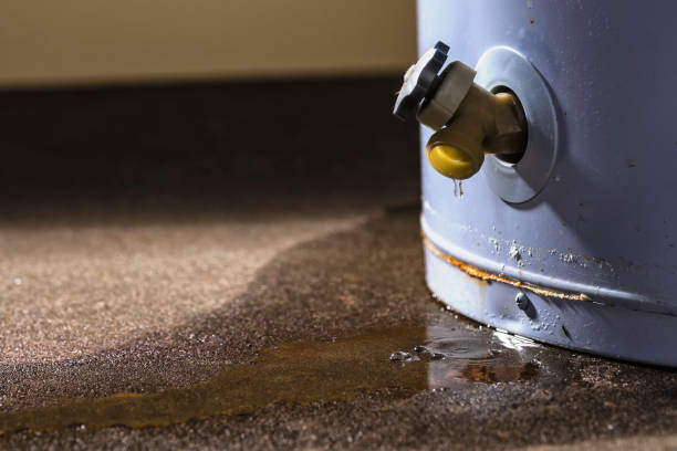 Best Ceiling water damage repair  in Ainaloa, HI