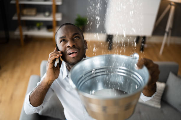 Best 24-hour water damage restoration  in Ainaloa, HI