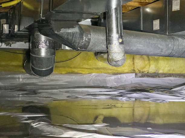 Best Water damage contractors near me  in Ainaloa, HI